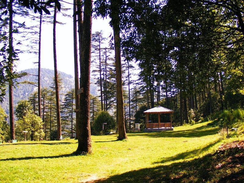 Dhanaulti, Uttarakhand