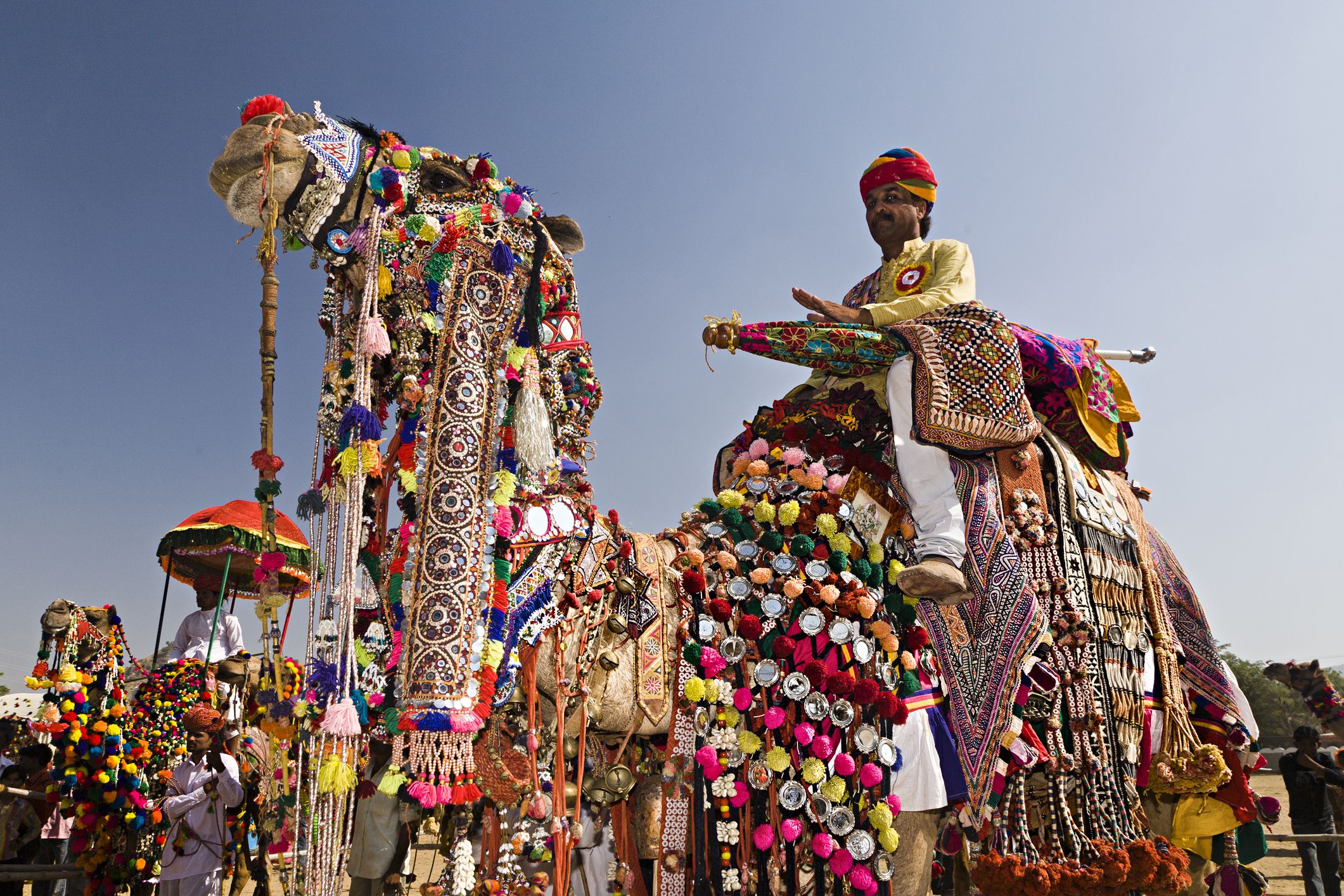 camel safari pushkar