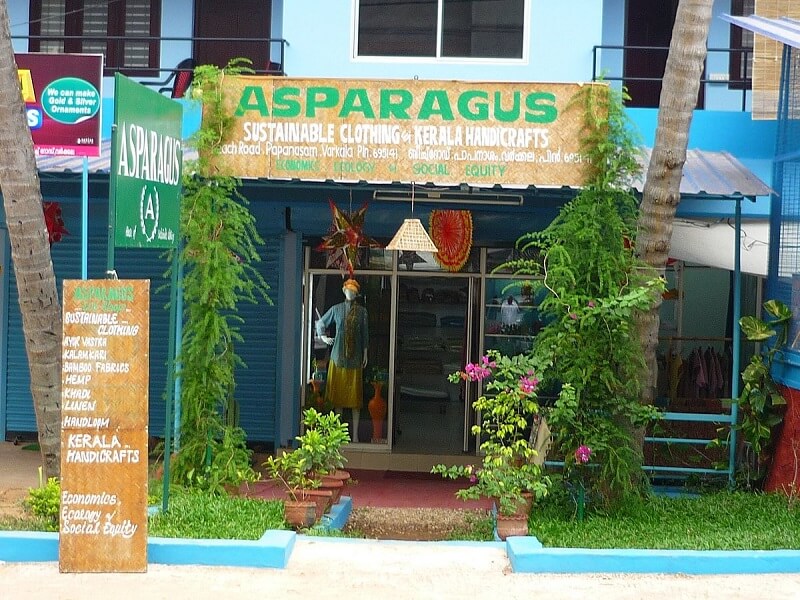 Asparagus, Varkala Kerala