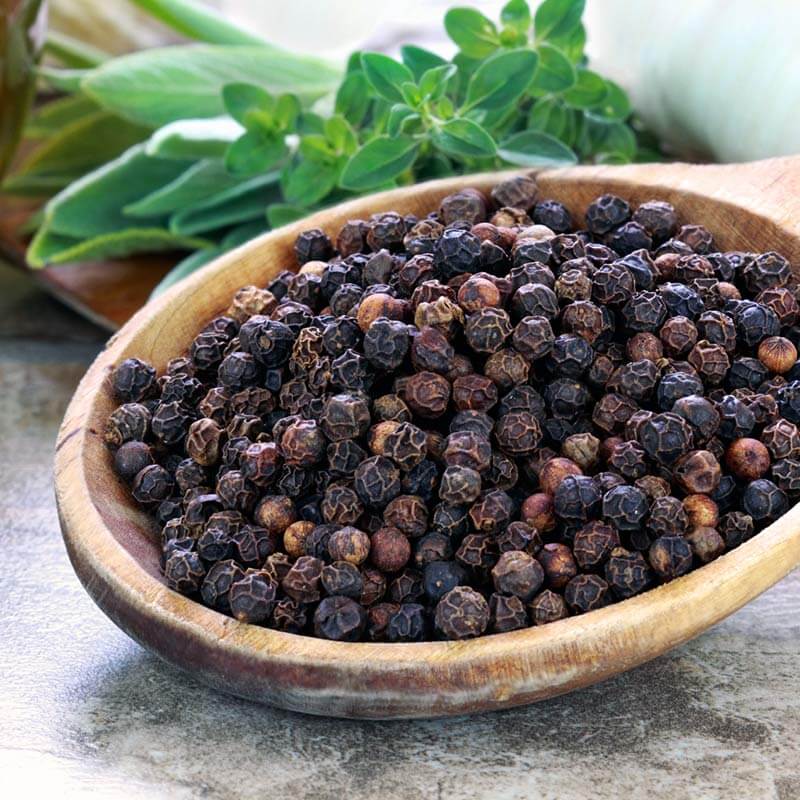 Black Pepper Kerala