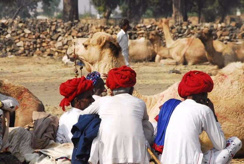 Chandrabhaga Fair Jhalawar (Rajasthan)
