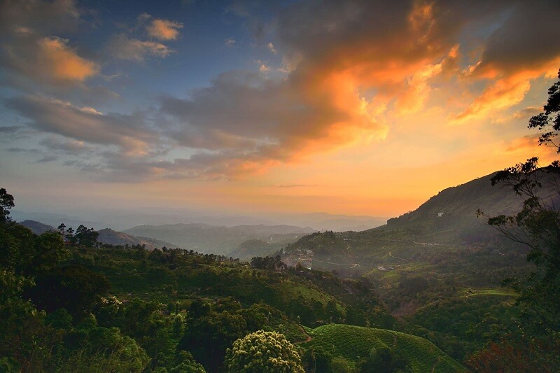 Pothamedu View Point Munnar
