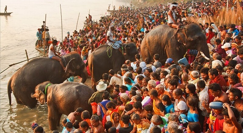 Sonepur Fair, Bihar