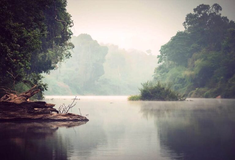 karnataka-coorg-best-attractions