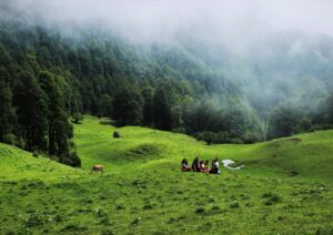 20 Popular Hill Stations in India to Visit in 2026
