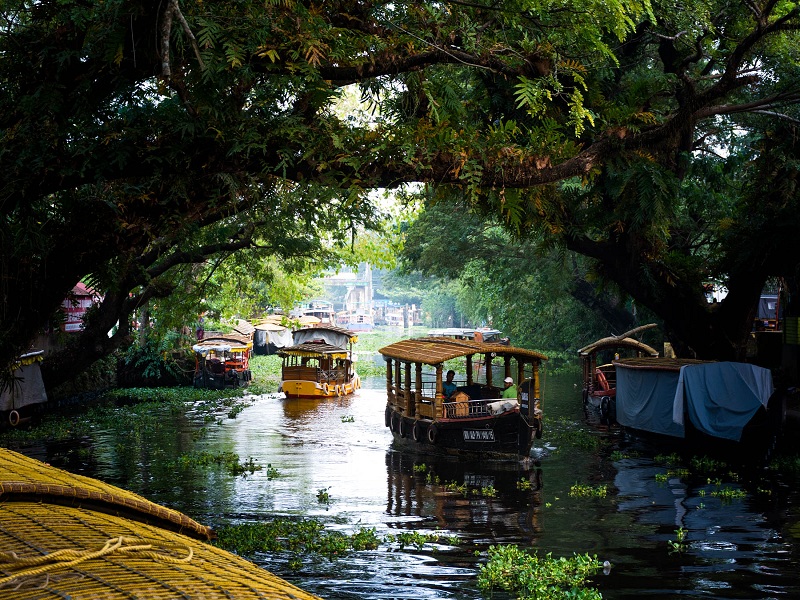 Alleppey Backwaters