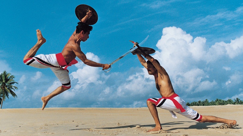 Kalaripayattu is an Indian martial arts and fighting system