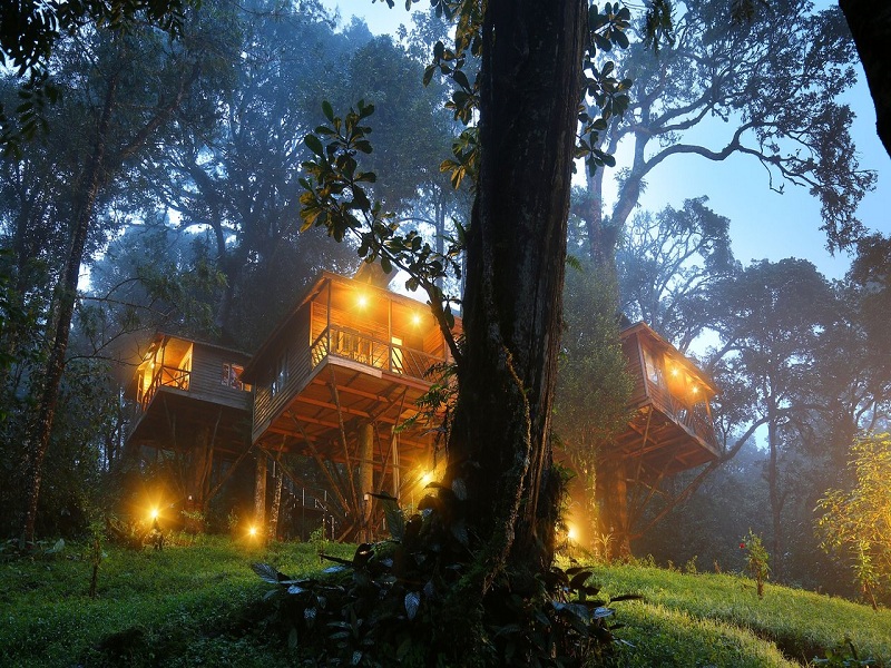 Top 10 Tree House Resorts In India Tusk Travel