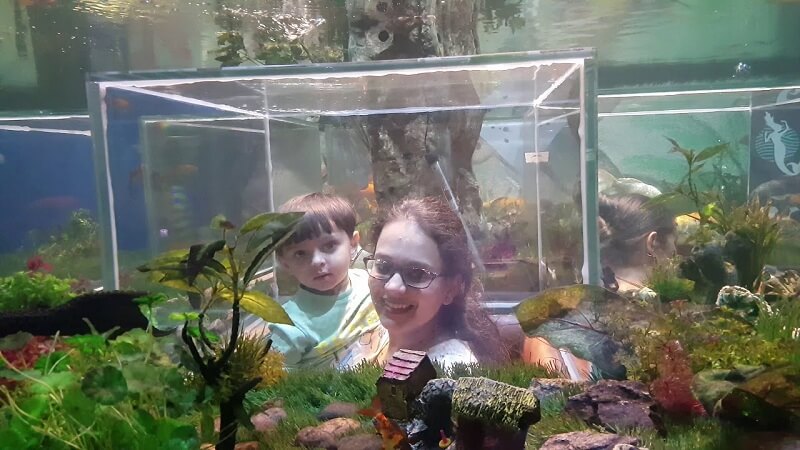 The Sun Aquarium Udaipur