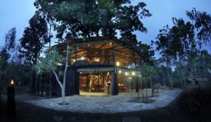 Top 10 Tree House Resorts in India 2026