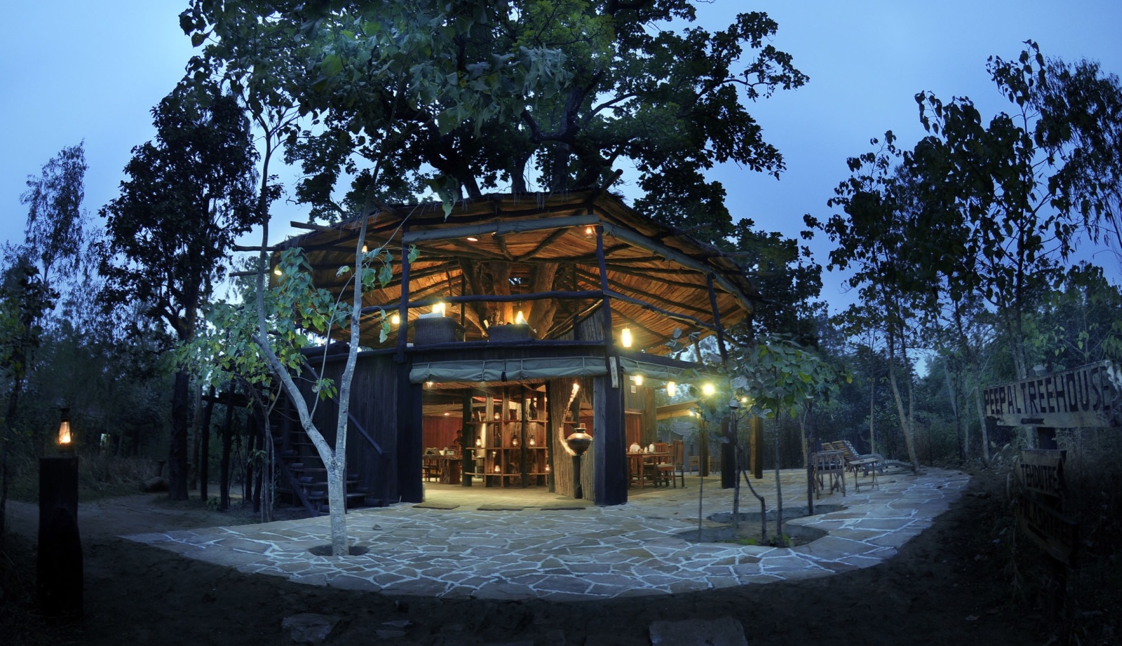 Top 10 Tree House Resorts In India Tusk Travel