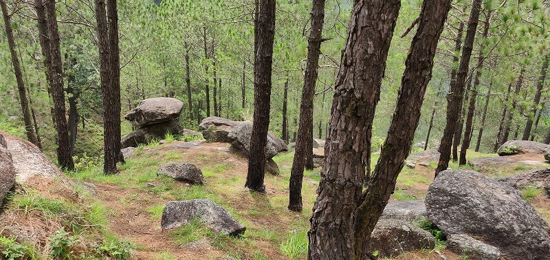 Bhim Pakora Lansdowne