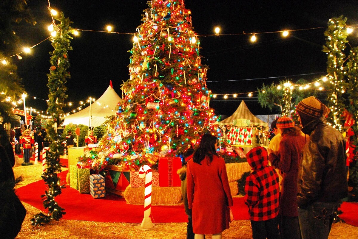 11 Best Places To Visit Christmas Celebration In India Tusk Travel Blog
