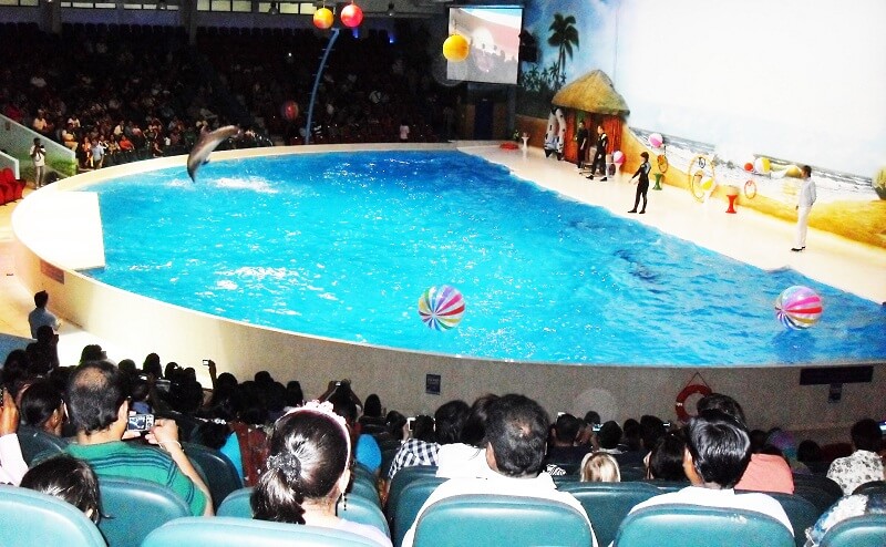 Dolphin Show at Dubai Dolphinarium