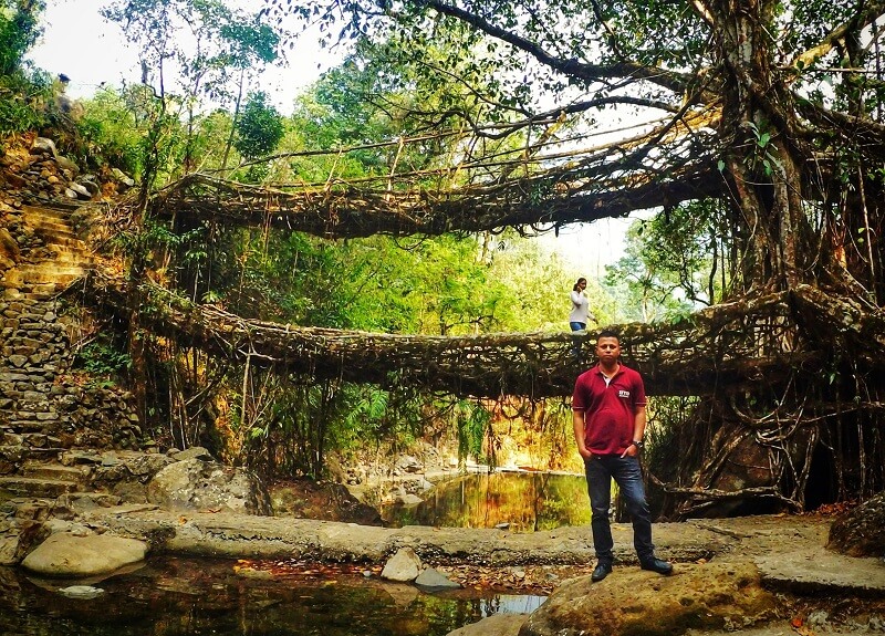 Double Decker Living Root Bridge Cherrapunjee