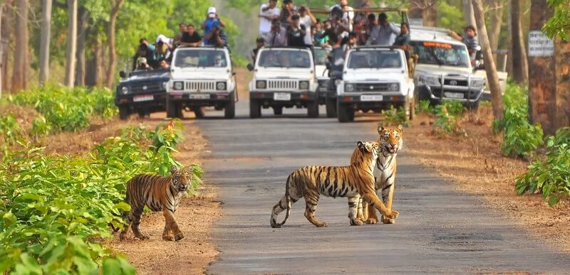 Jim Corbett National Park, Uttarakhand