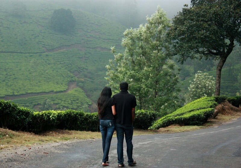 Honeymoon Couple in Munnar