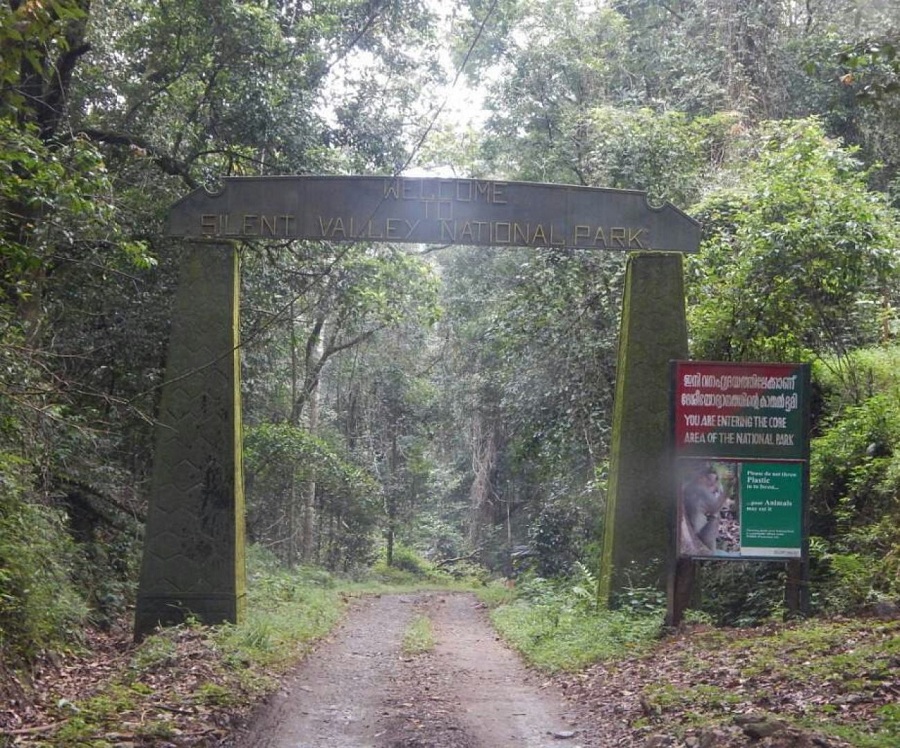 Silent Valley National Park, Palakkad