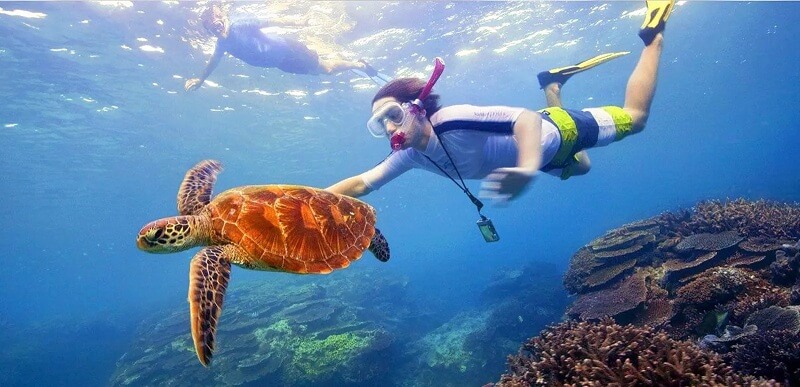 Andaman and Nicobar Islands Snorkeling