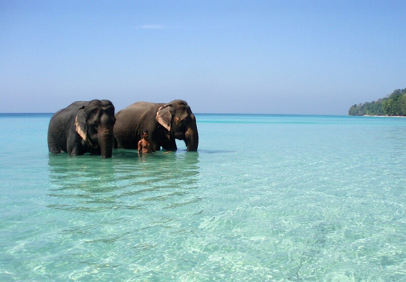 Eelephant Beach Havelock Island Andaman
