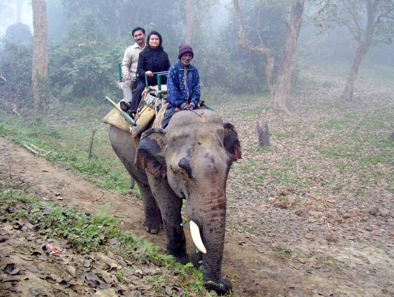 Elephant Safari at Nameri National Park