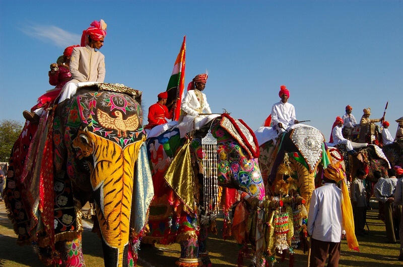 Jaipur Elephant Festival