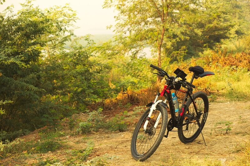 Najafgarh Wetlands Cycling