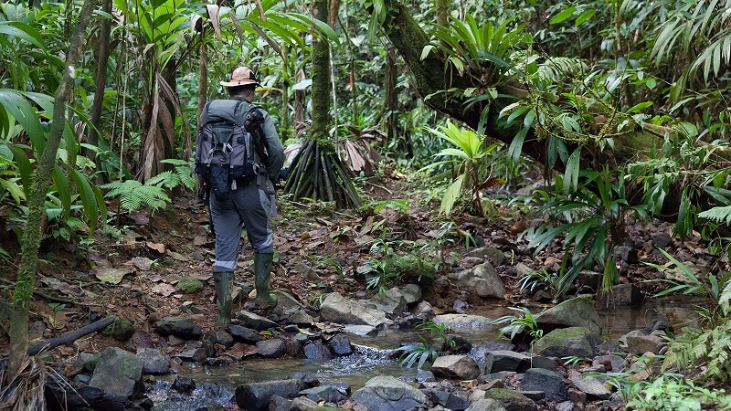 Namdapha National Park Adventurous Activities