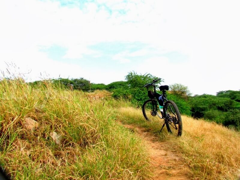 Delhi Sanjay Van Cycling