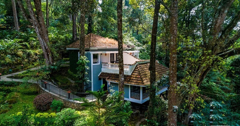 The Tall Trees Munnar