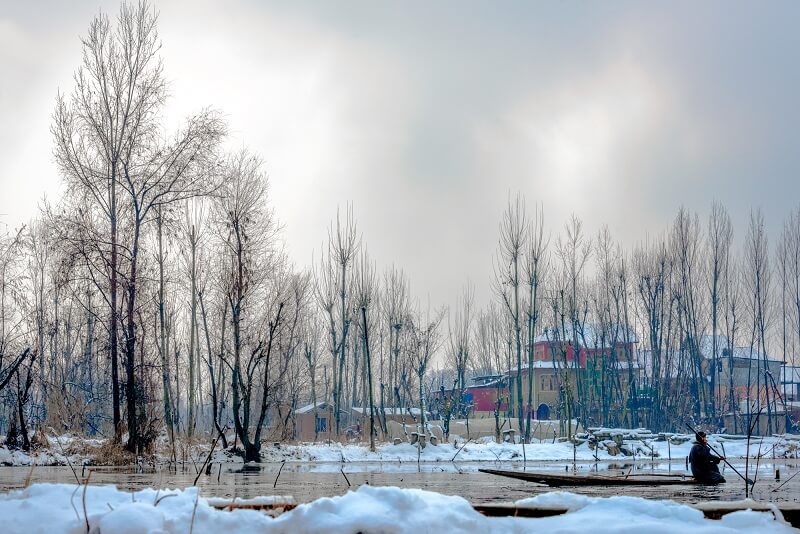 DalLake Kashmir
