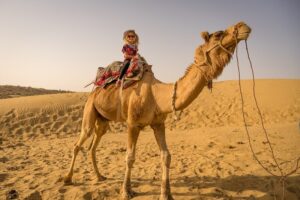 Things to do in Rajasthan with Kids: Child-friendly activities
