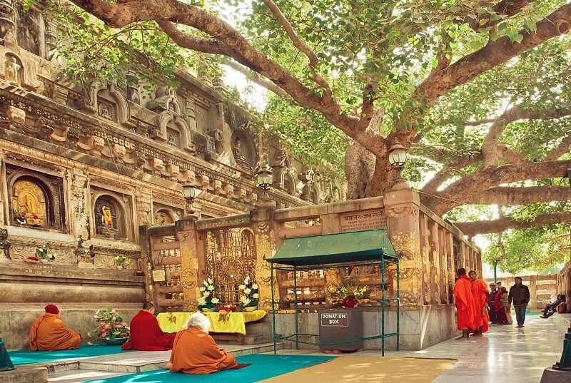 Bodhi Tree, Bodh Gaya