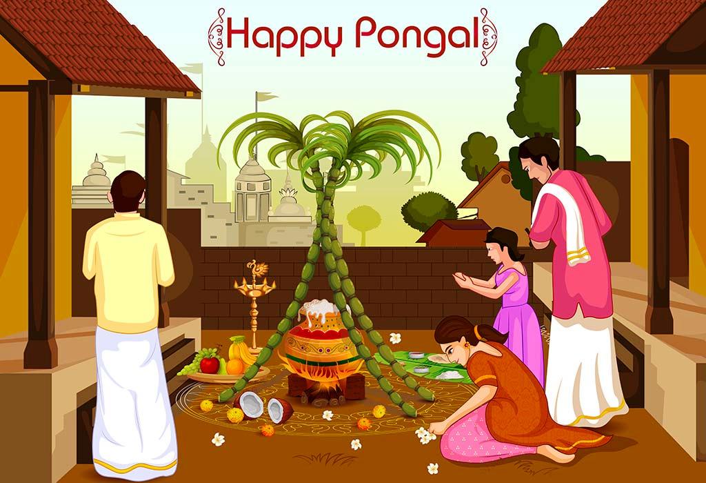 Pongal Festival 2024 Why, Where, When Celebrated South India