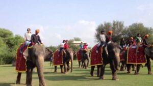 Elephant Festival, Jaipur 2026: Dates, Entry Fees, History and How to Reach