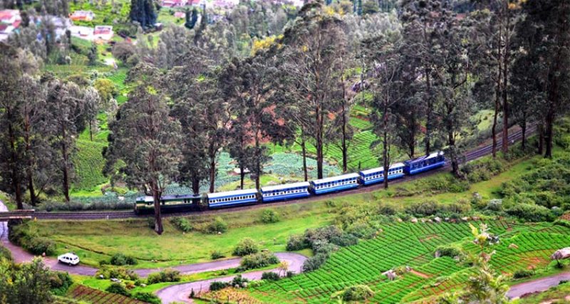 Honeymoon in Ooty, Tamil Nadu