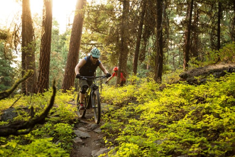 Mountain biking in India