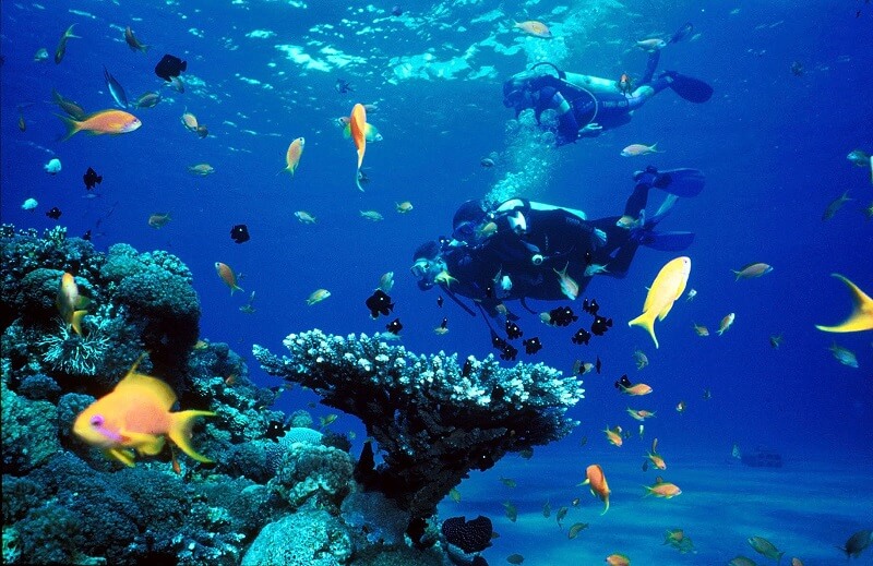 Scuba Diving in Pondicherry