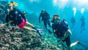 Water Sports Destinations in India scuba
