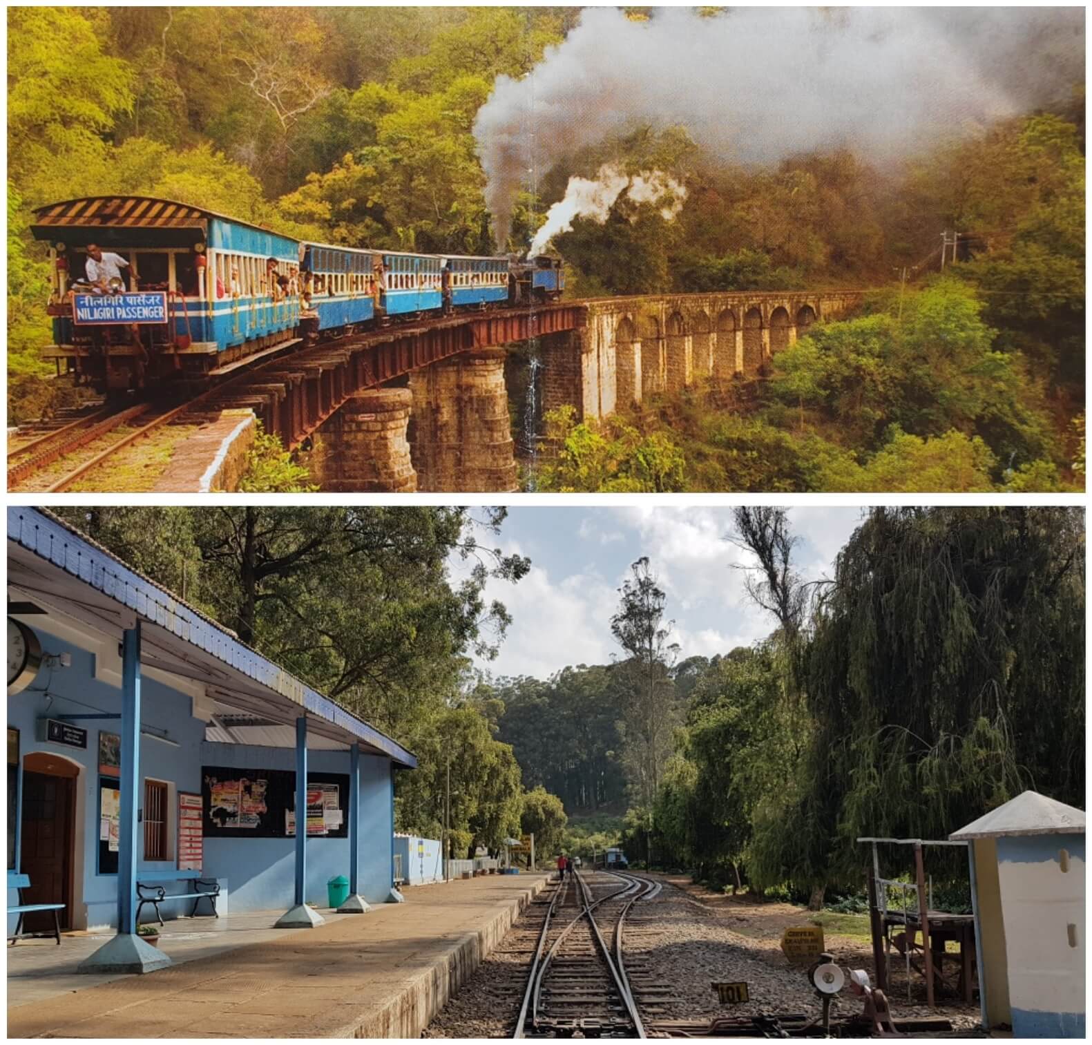 Nilgiri Mountain Railway Tamil Nadu