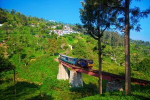 Nilgiri Mountain Railway landscape