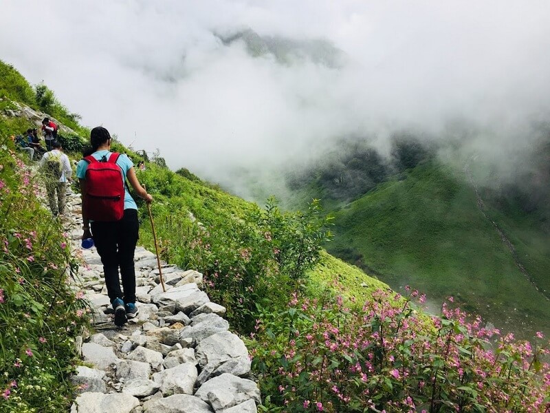 Valley of Flowers Trek, Uttarakhand
