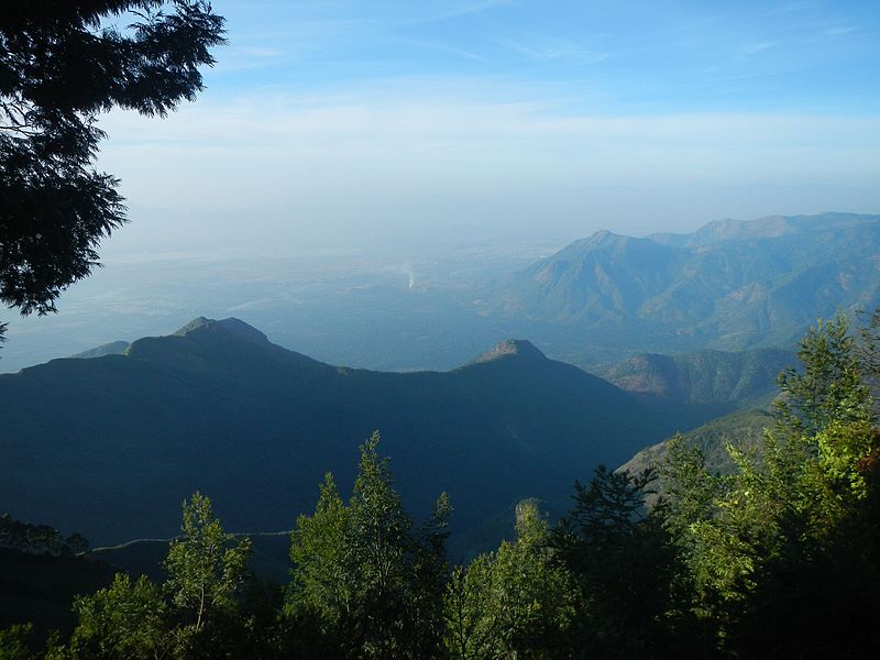 Palani Hills, Kodaikanal