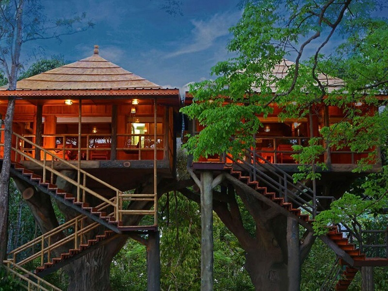 Stay in a Tree House Resort in Kerala