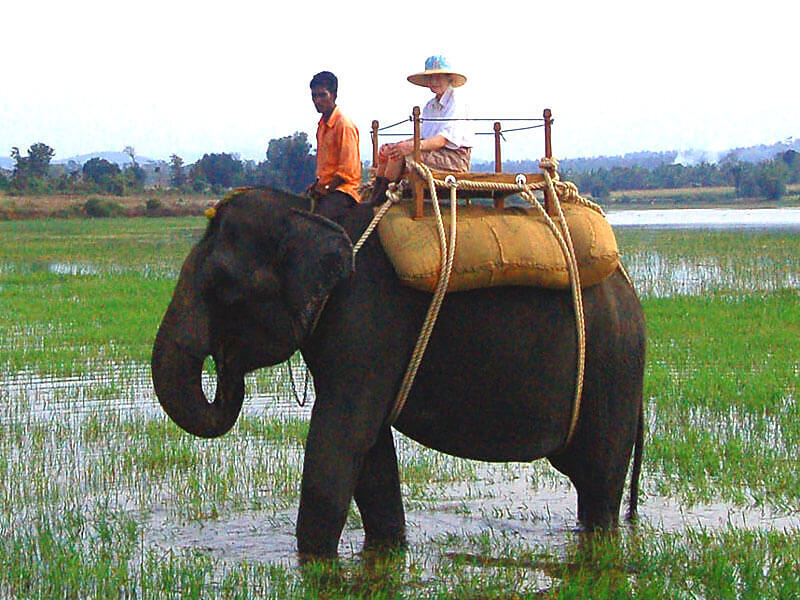 Kabini Elephant Safari