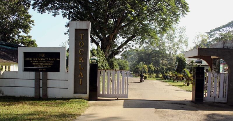 Tocklai Tea Research Centre, Assam