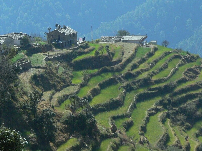 Binsar, Uttarakhand – Adorned with sky-kissing peaks