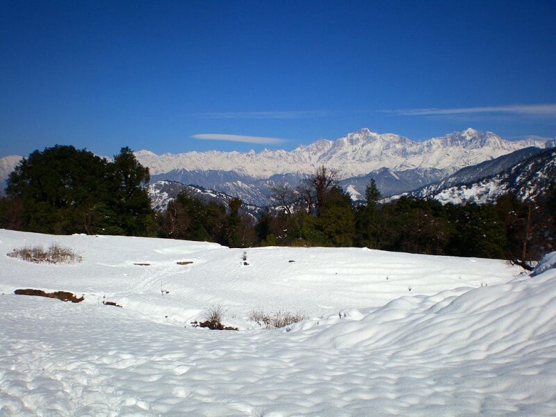 Chopta, Uttarakhand – Perfect for both adventure-lovers and peace-seekers