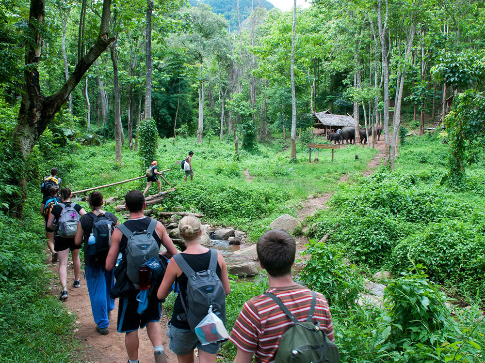 Adventurous Trekking Jim Corbett National Park