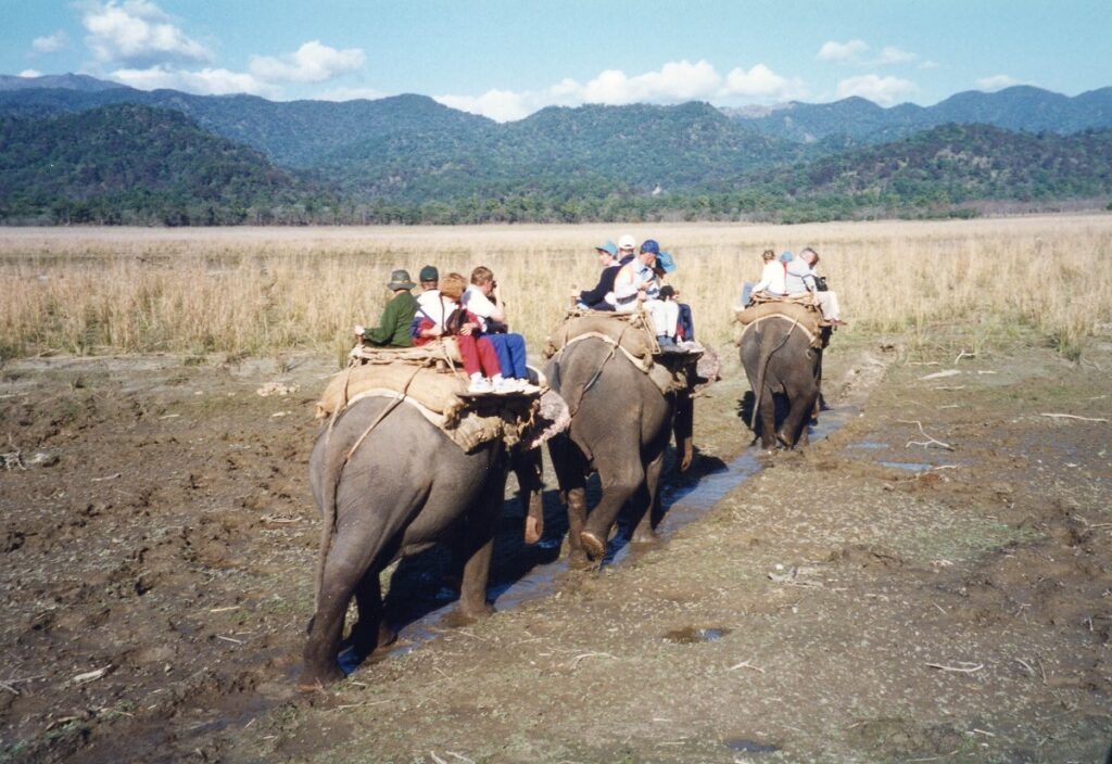 Elephant Safari in Jim Corbett